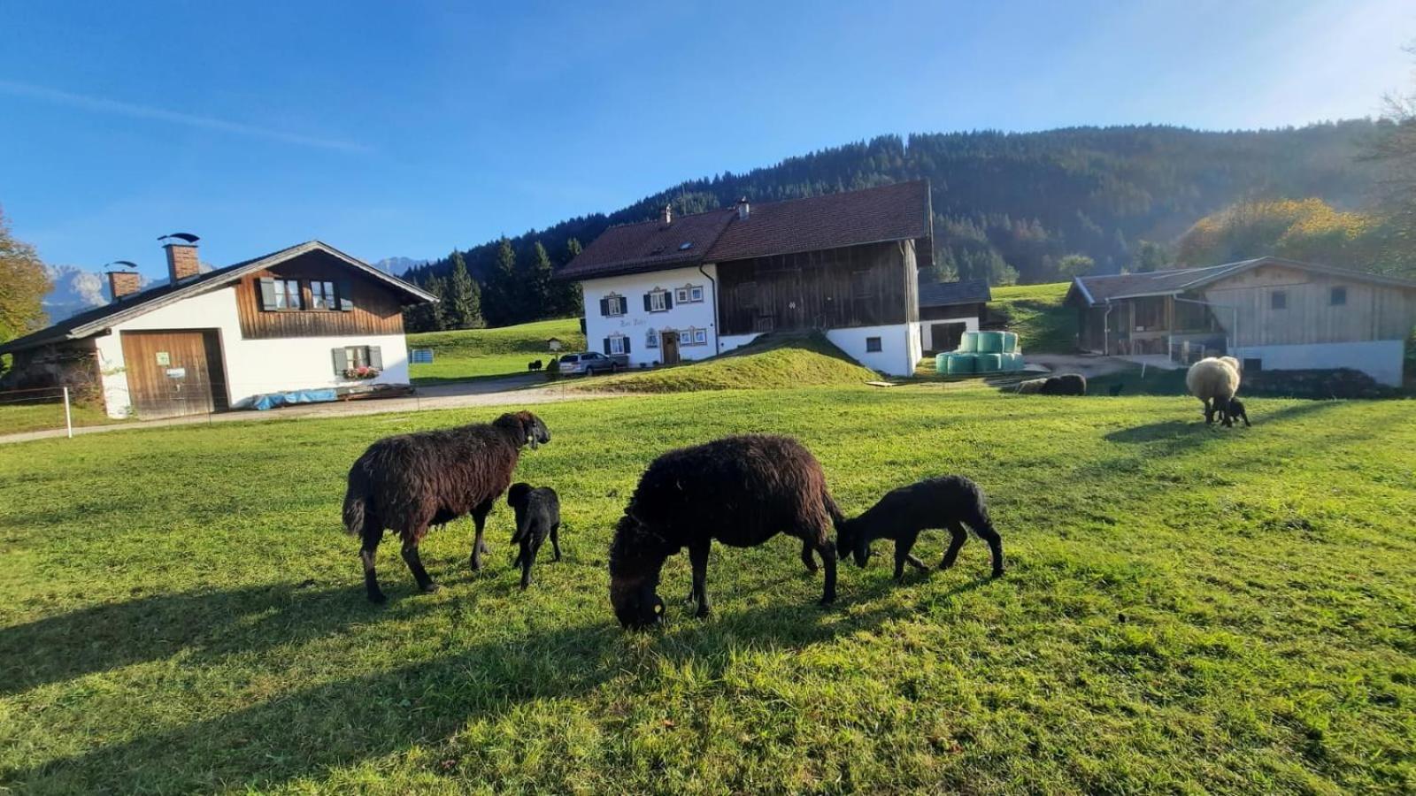 Bauernhaus Jocher Krun Luaran gambar