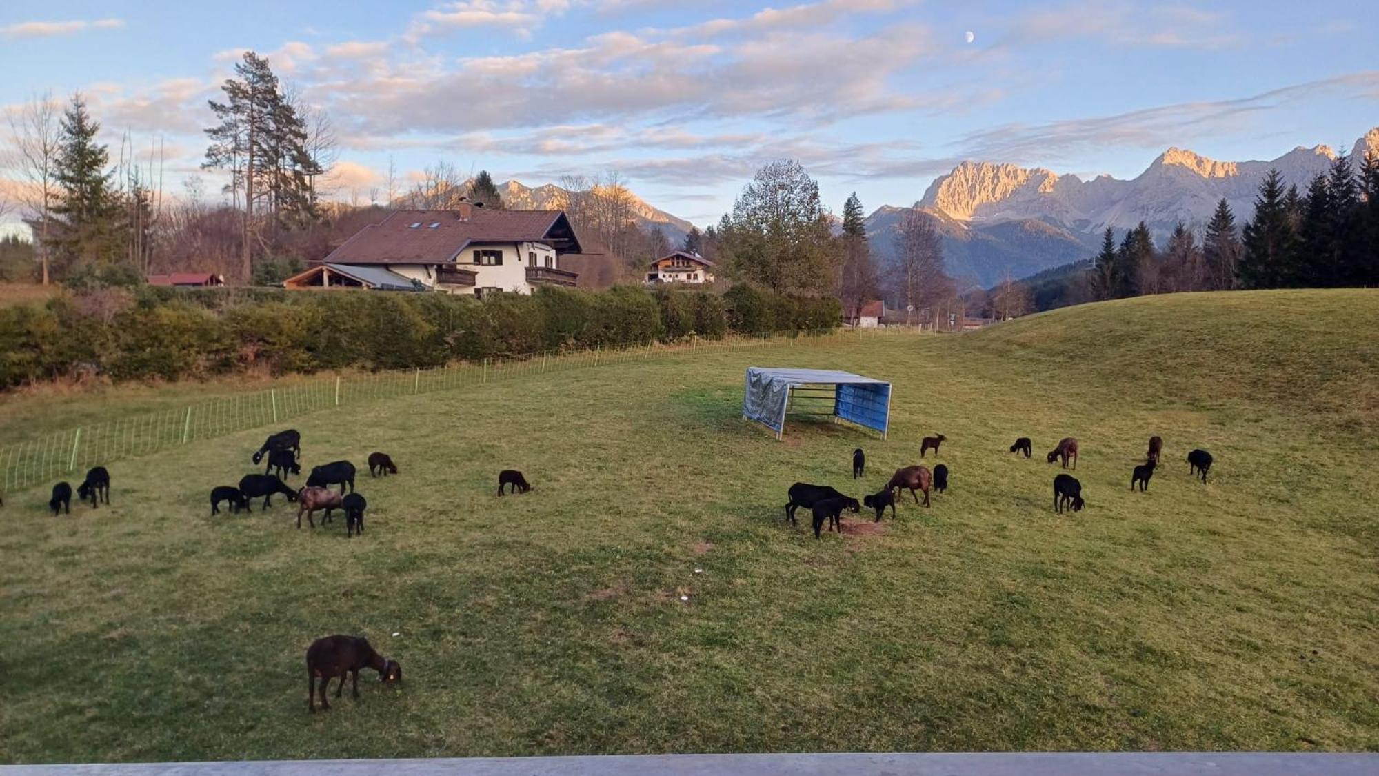 Bauernhaus Jocher Krun Luaran gambar